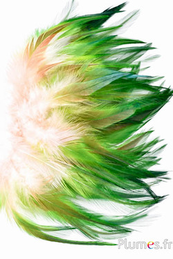 Haan Ombré - gebleekt - 10-15 cm - crème-bruin-groen